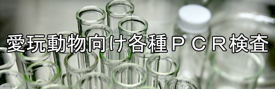 Pet DNA Laboratory